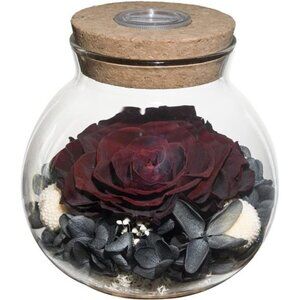 Preserved Real Roses with Colorful Mood Light Wishing Bottle,Eternal Rose